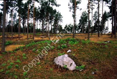 Bohuslän Blomsholm hällristnings-område 970129