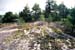 Bohuslän Blomsholm spår av inlandsisen 970225