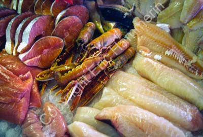 Mollösund fiskaffär fileer 980237