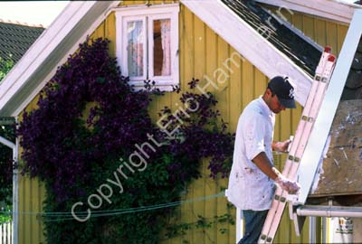 Mollösund hus renovering 971402