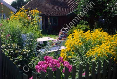 Mollösund trädgård hus 971333