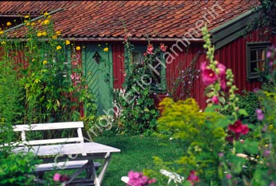 Mollösund trädgård hus idyll 980222
