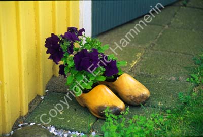 Mollösund trätofflor blommor 980215