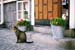 Strömstad katt trappa blommor dörr 970513