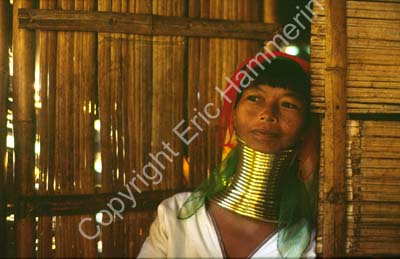 Padong woman longnecked 8610134