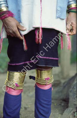 Padong woman longnecked leg rings 8610026