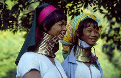 Padong women longnecked 8610018