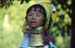 Padong woman longnecked 8610024