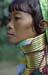 Padong woman longnecked 8610033