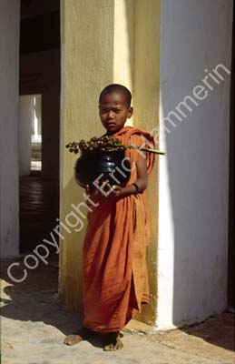 Htilominlo temple young buddhist monk 852012