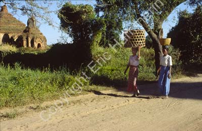 Road in Pagan 867526