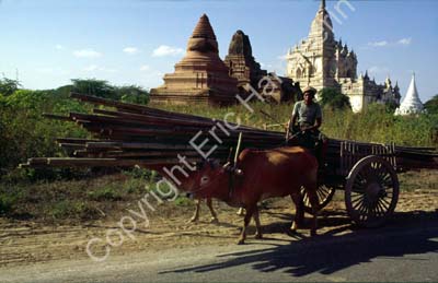 Temples Pagan and oxcart 852132