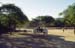 Bullock cart Pagan 867420
