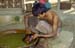 Man with lacquerware 867605