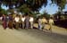 Procession in the road 867235