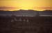 Sunset over Pagan 867327