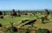 View over Pagan 867511