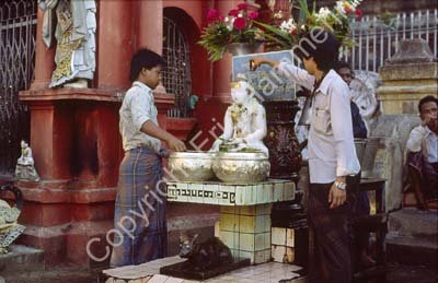 People by Buddha figure 868703