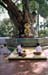 Temple yard Schwedagon 852630
