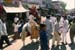 Bride groom on white horse 003325