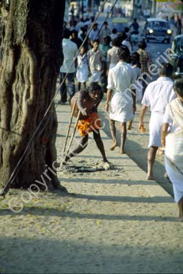 Beggar handicapped Cochin 826032