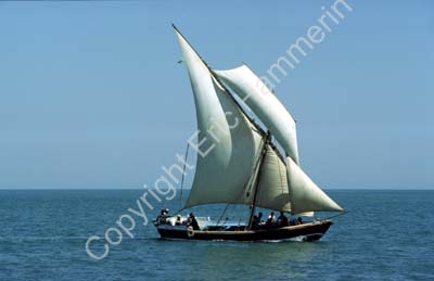 Boat with sails set Okha 861805