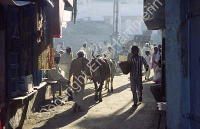 Street scene people Dwarka 861402