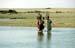 Women with jars on head crossing river Dwarka 861426