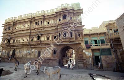 Haveli cows people Jaisalmer 8510214