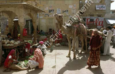Market Jaisalmer 8510302