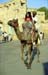 Camel riding in Jaisalmer 863334