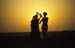 Music and dance outside Jaisalmer 863706