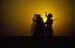 Music and dance outside Jaisalmer 863710
