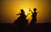 Music and dance outside Jaisalmer 863711