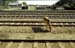 Railway tracks man with wheelbar Jamnagar 861811