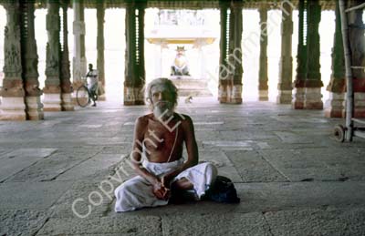Ekambareshvara temple sadhu Kanchipuram 854110