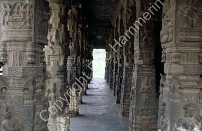 Pillar hall Varadaraja temple Kanchipuram 854121