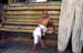 Priest Varadaraja temple Kanchipuram 854125