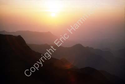 Dawn Kodaikanal 827101b