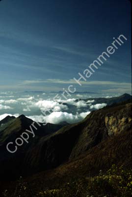 Mountain view Kodaikanal 827029
