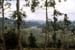 Nilgiri hills close to Kodaikanal 827103