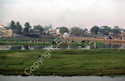 Vaigai river people cattle Madurai 859232