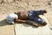 Leprosy man on ground 827003