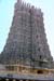 Meenakshi temple gopuram Madurai 826610