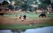 People relieving themselves by the river Vaigai in Madurai 859236
