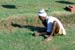 Lawn mower 825726