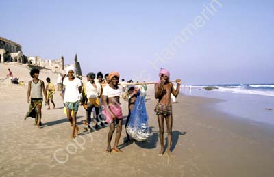 Fishermen Gopalpur 853619