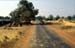 Road in Orissa 853423
