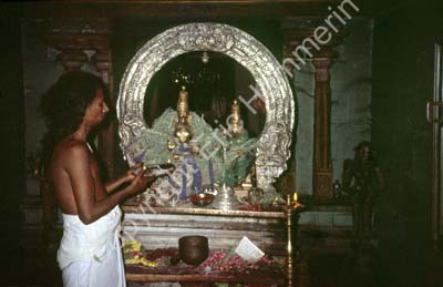 Hindu priest in temple ceremony Puri 858026