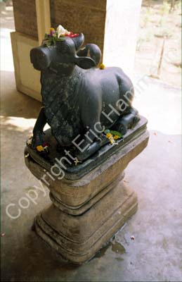 Nandi statue Puri 853425